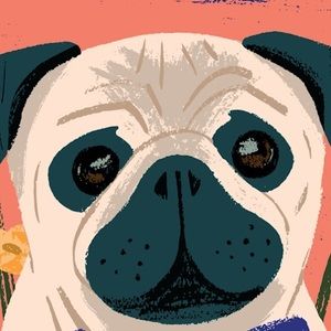 Meet your Posher, Sandee